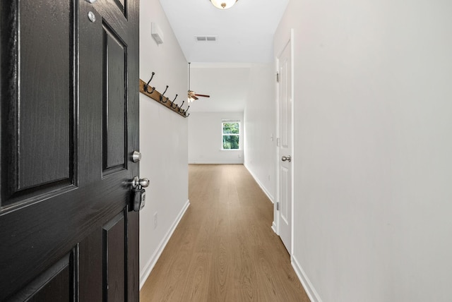 2149 Longhunter Chase Dr, Spring Hill, TN 37174 - corridor with light wood-style floors and baseboards