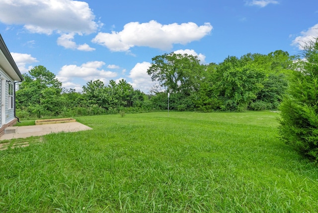2149 Longhunter Chase Dr, Spring Hill, TN 37174 - view of grassy yard