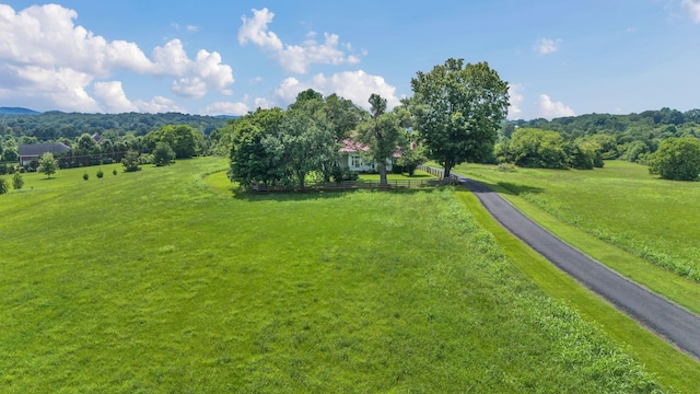 4125 Trinity Rd, Franklin, TN 37067 - photo 41