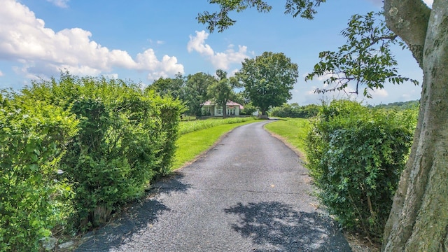 4125 Trinity Rd, Franklin, TN 37067 - photo 8