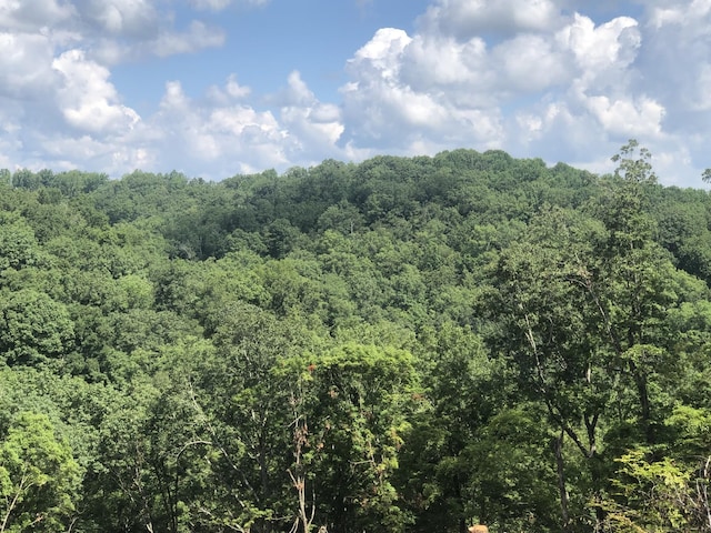 1096 Paiute Trl, Pegram, TN 37143
