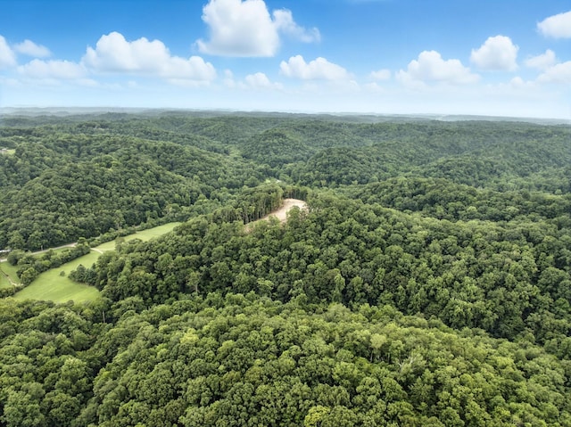 1096 Paiute Trl, Pegram, TN 37143
