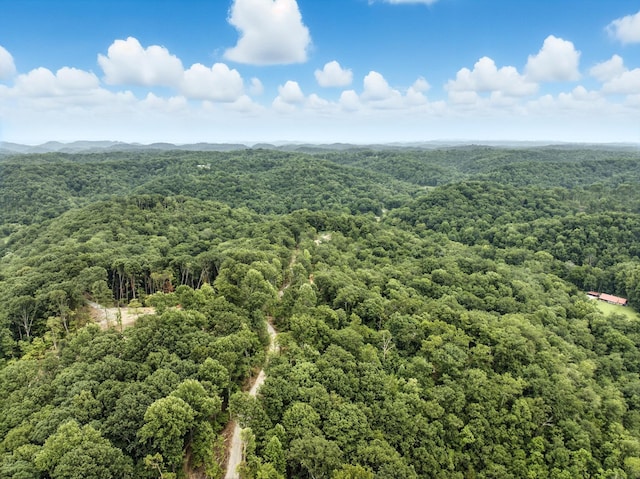 1096 Paiute Trl, Pegram, TN 37143