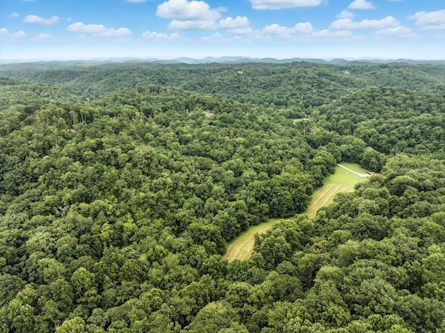 1096 Paiute Trl, Pegram, TN 37143