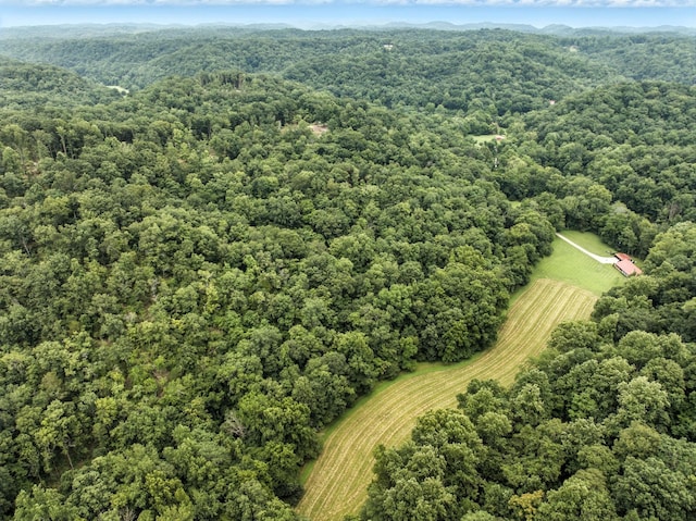 1096 Paiute Trl, Pegram, TN 37143