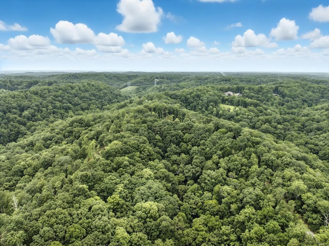 1096 Paiute Trl, Pegram, TN 37143