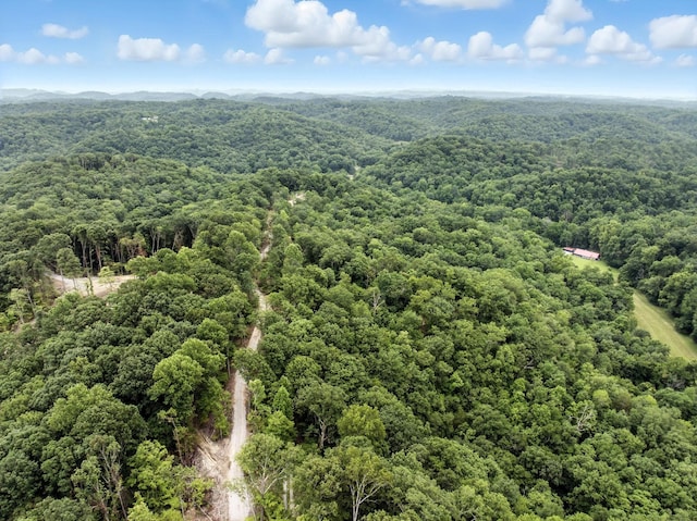 1096 Paiute Trl, Pegram, TN 37143