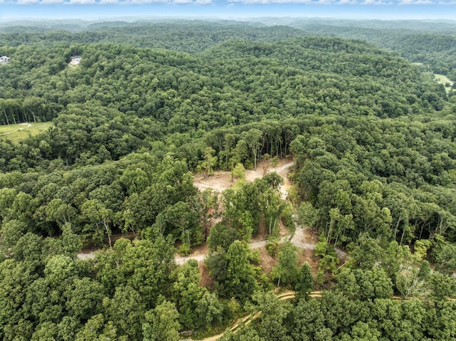 1096 Paiute Trl, Pegram, TN 37143