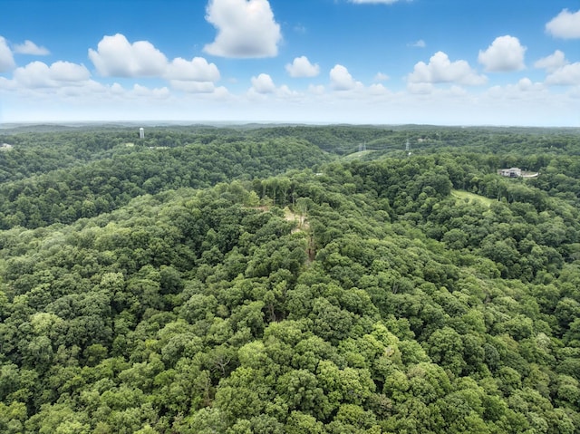 1096 Paiute Trl, Pegram, TN 37143