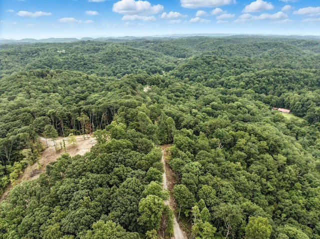 1096 Paiute Trl, Pegram, TN 37143