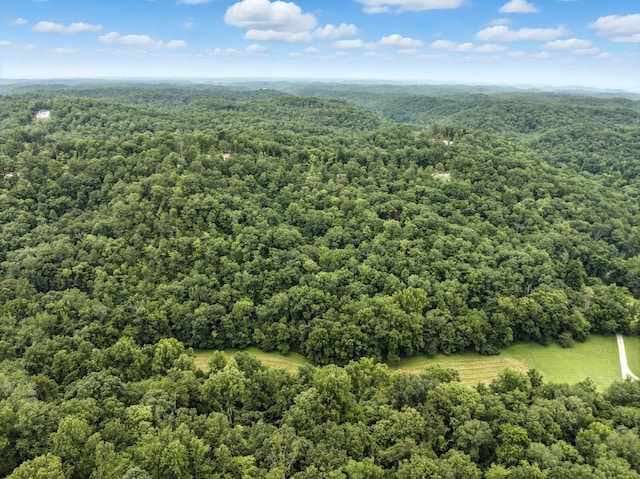 1096 Paiute Trl, Pegram, TN 37143