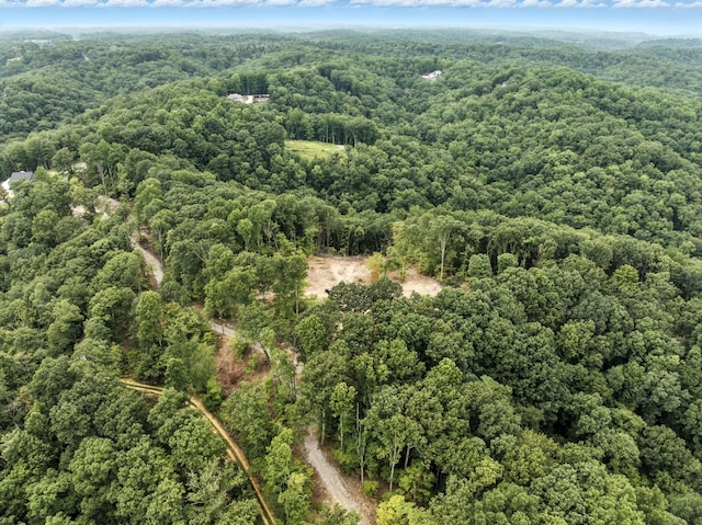 1096 Paiute Trl, Pegram, TN 37143