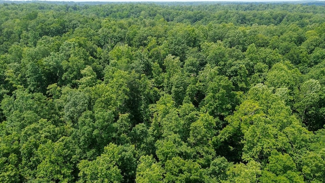 0 Catheys Creek Rd, Hampshire, TN 38461 - photo 11