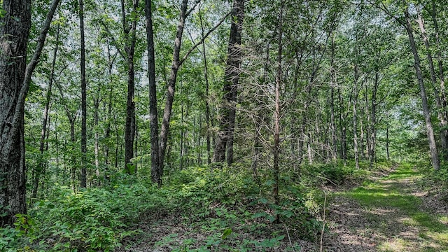 0 Catheys Creek Rd, Hampshire, TN 38461 - photo 28