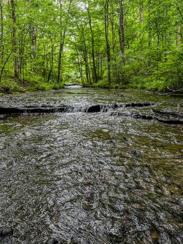 0 Catheys Creek Rd, Hampshire, TN 38461 - photo 3