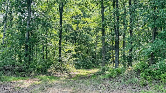 0 Catheys Creek Rd, Hampshire, TN 38461 - photo 20