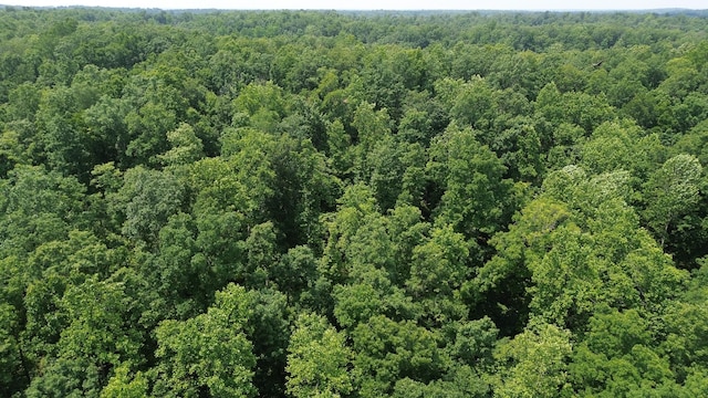 0 Catheys Creek Rd, Hampshire, TN 38461 - photo 12