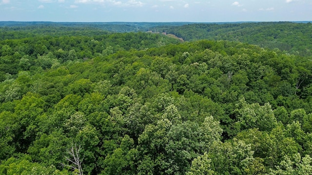 0 Catheys Creek Rd, Hampshire, TN 38461 - photo 14