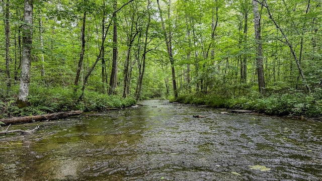 0 Catheys Creek Rd, Hampshire, TN 38461 - photo 2