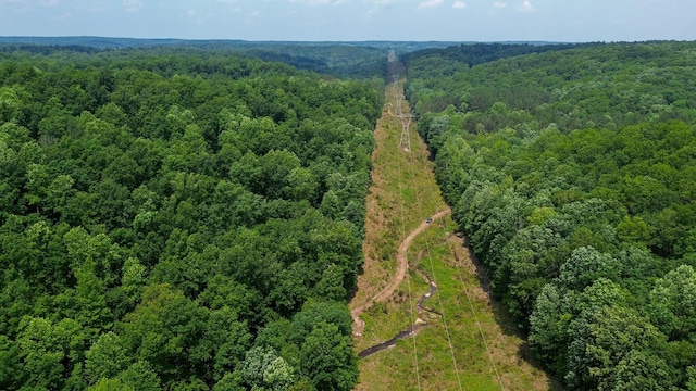 0 Catheys Creek Rd, Hampshire, TN 38461 - photo 10