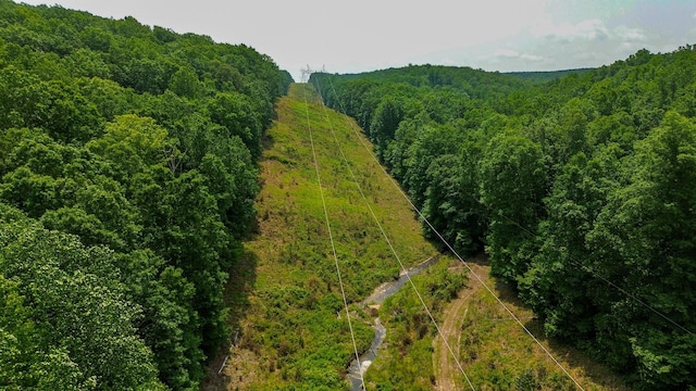0 Catheys Creek Rd, Hampshire, TN 38461 - photo 8