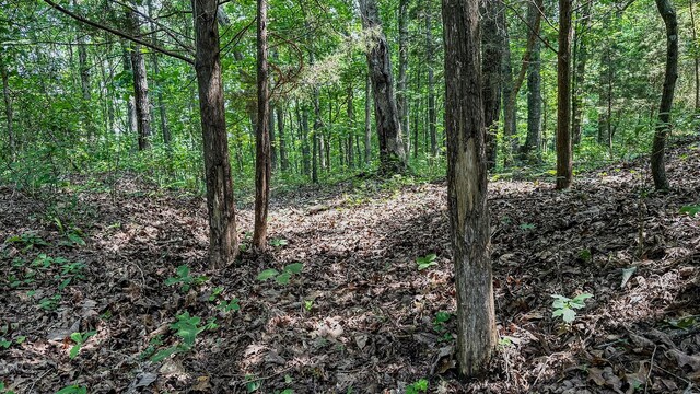 0 Catheys Creek Rd, Hampshire, TN 38461 - photo 31