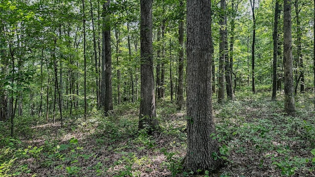 0 Catheys Creek Rd, Hampshire, TN 38461 - photo 7
