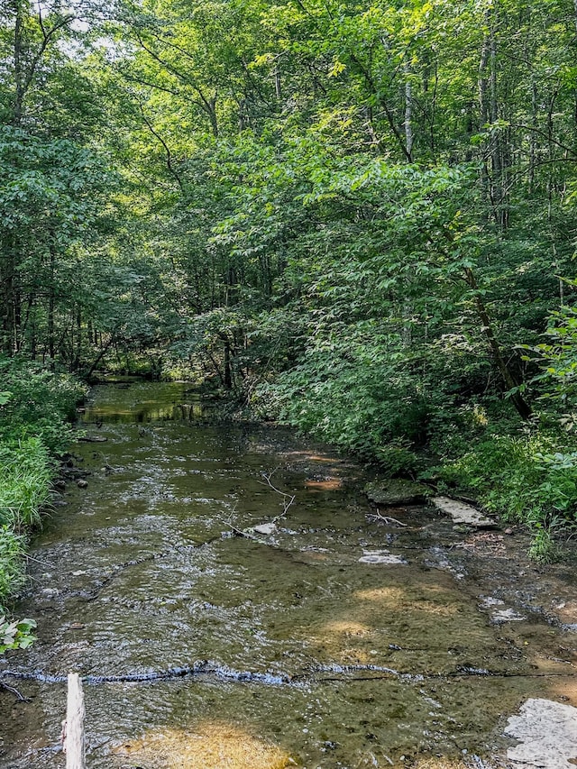0 Catheys Creek Rd, Hampshire, TN 38461 - photo 5