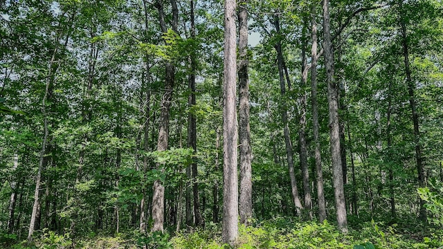 0 Catheys Creek Rd, Hampshire, TN 38461 - photo 26