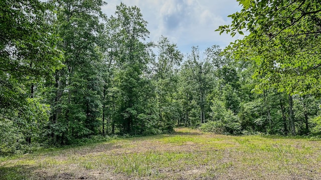 0 Catheys Creek Rd, Hampshire, TN 38461 - photo 34