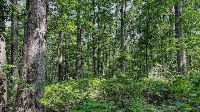 0 Catheys Creek Rd, Hampshire, TN 38461 - photo 27