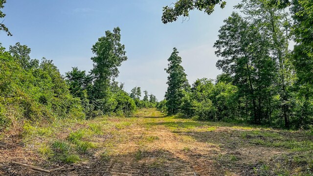 0 Catheys Creek Rd, Hampshire, TN 38461 - photo 17