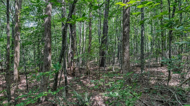 0 Catheys Creek Rd, Hampshire, TN 38461 - photo 24