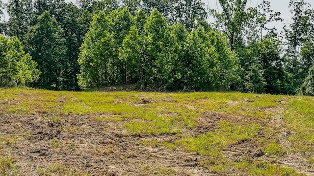 0 Catheys Creek Rd, Hampshire, TN 38461 - photo 18
