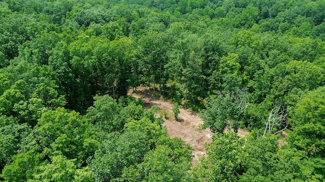 0 Catheys Creek Rd, Hampshire, TN 38461 - photo 13