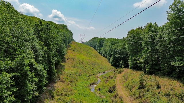 0 Catheys Creek Rd, Hampshire, TN 38461 - photo 32