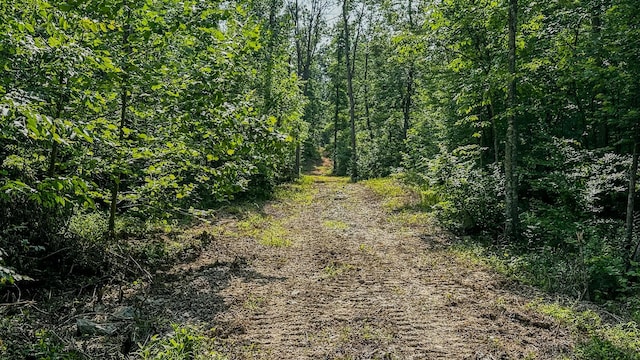 0 Catheys Creek Rd, Hampshire, TN 38461 - photo 15