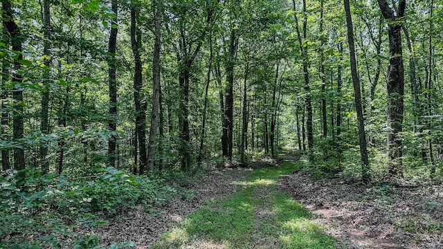 0 Catheys Creek Rd, Hampshire, TN 38461 - photo 33