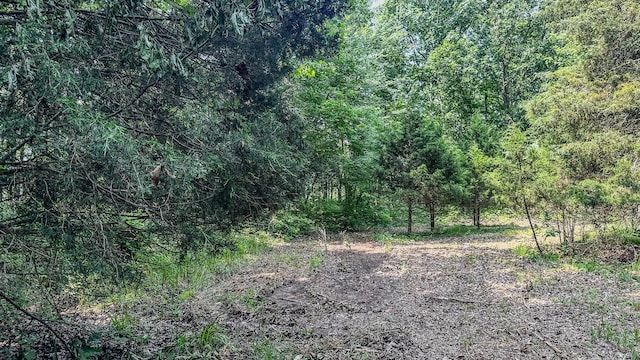 0 Catheys Creek Rd, Hampshire, TN 38461 - photo 30