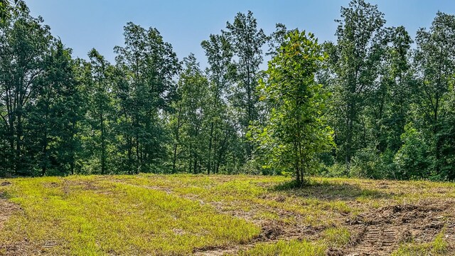 0 Catheys Creek Rd, Hampshire, TN 38461 - photo 19