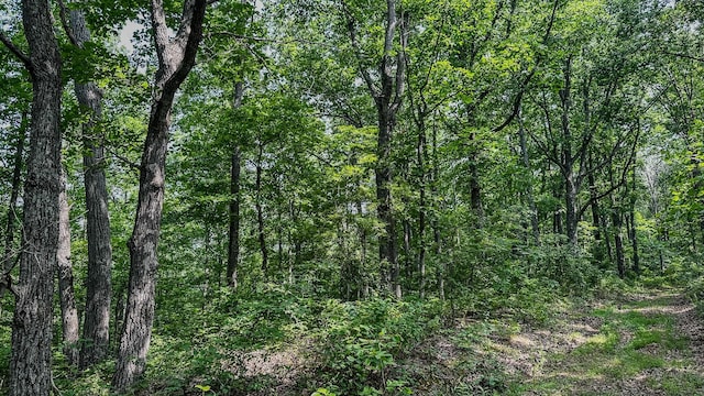 0 Catheys Creek Rd, Hampshire, TN 38461 - photo 25