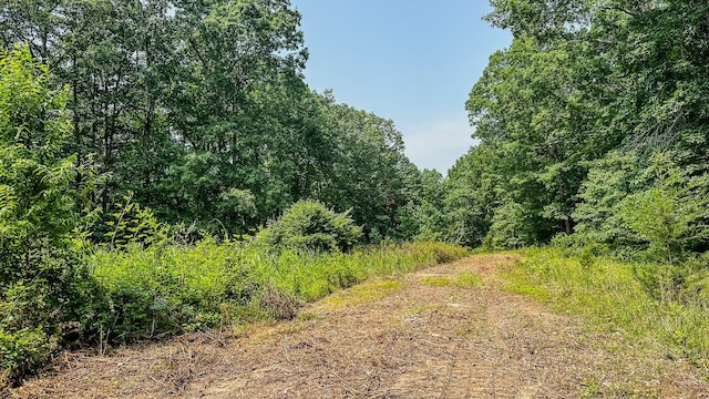 0 Catheys Creek Rd, Hampshire, TN 38461 - photo 29