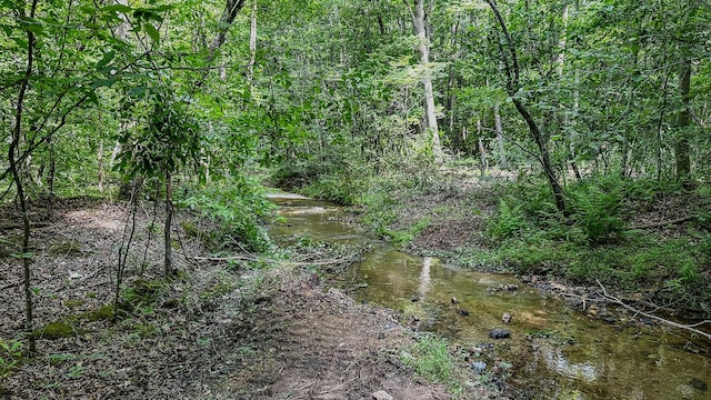 0 Catheys Creek Rd, Hampshire, TN 38461 - photo 23