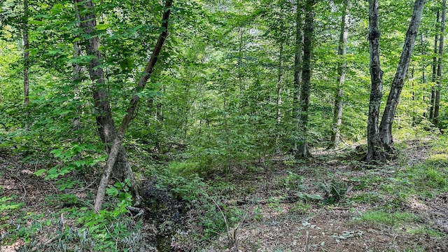 0 Catheys Creek Rd, Hampshire, TN 38461 - photo 21
