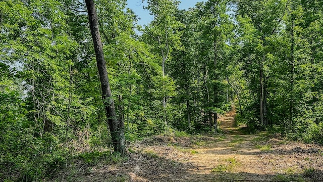 0 Catheys Creek Rd, Hampshire, TN 38461 - photo 16