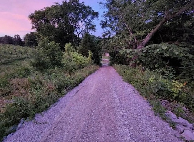1 Julie Ln, Pleasant Shade, TN 37145 - view of road