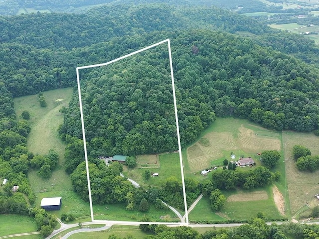 1 Julie Ln, Pleasant Shade, TN 37145 - aerial view of sparsely populated area featuring property boundaries highlighted and a heavily wooded area