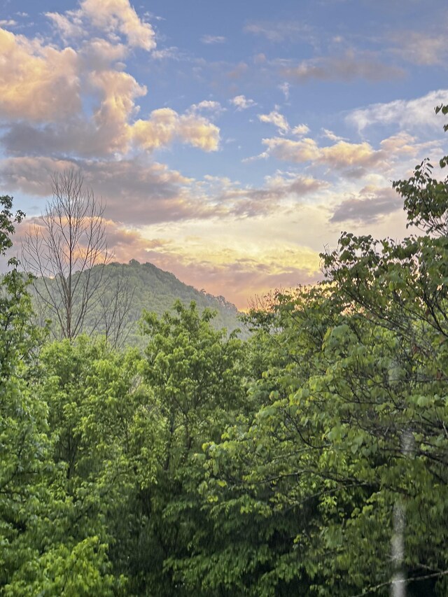 1 Julie Ln, Pleasant Shade, TN 37145 - view of mountain backdrop with a forest