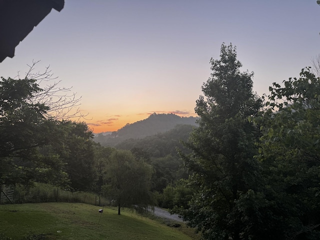 1 Julie Ln, Pleasant Shade, TN 37145 - mountain view with a heavily wooded area