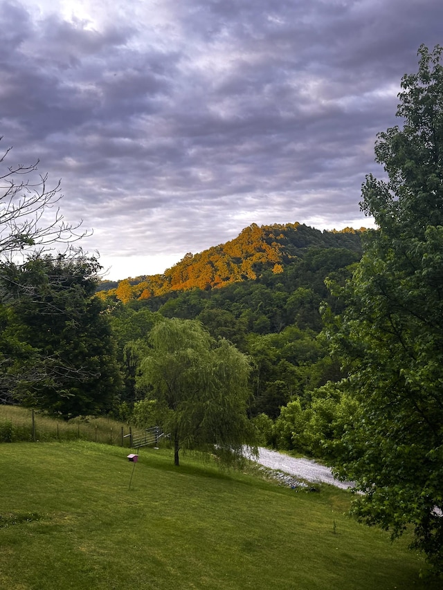 1 Julie Ln, Pleasant Shade, TN 37145 - view of mountain backdrop featuring a heavily wooded area